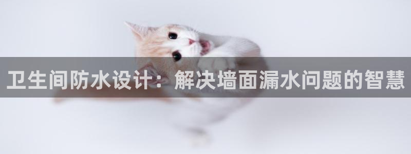 球盟会入口