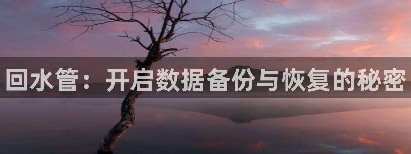 球盟会官方登录平台