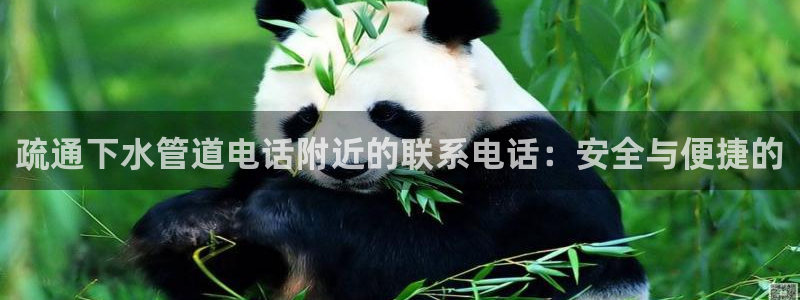 球盟会黑款吗知乎小说