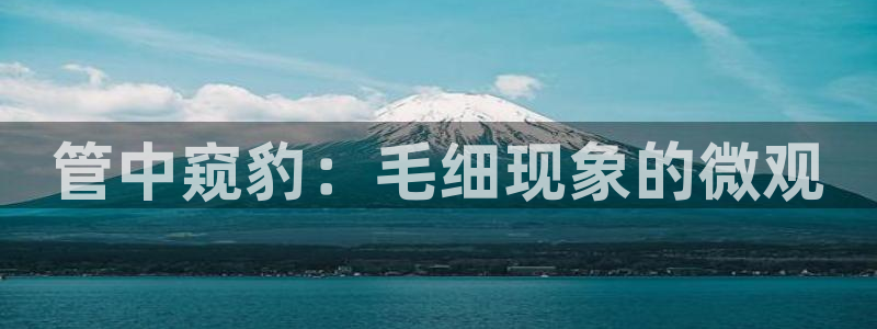 球盟会在线登入