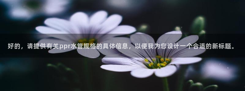 球盟会能退钱吗现在