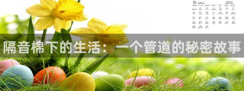 球盟会提款支付宝怎么样