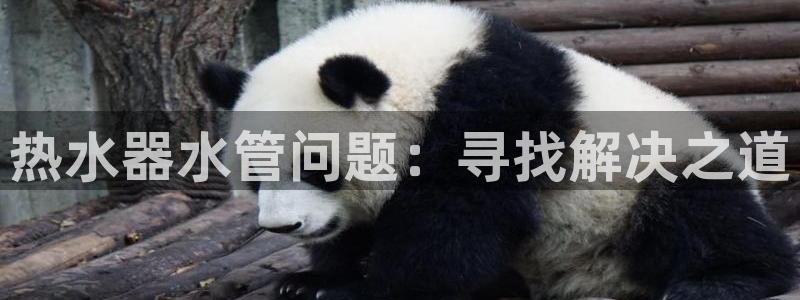 球盟会app手机登录