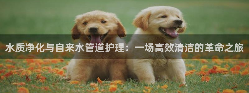 球盟会网页登录入口