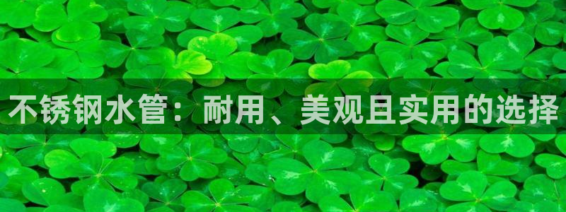 球盟会可以提现么