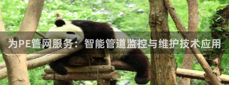 球盟会进不去球员吗