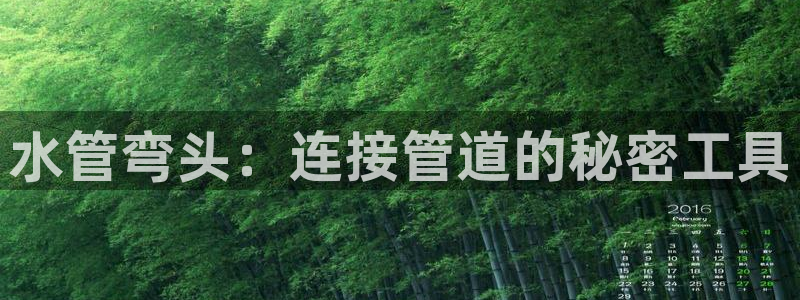 球盟会黑款吗是真的吗