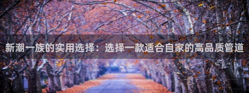 球盟会体育平台