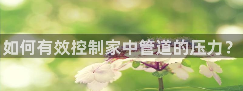 球盟会官网app下载