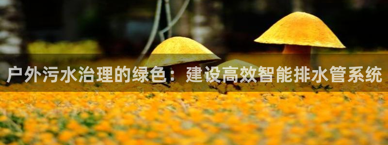 球盟会里面有打牌的嘛是真的吗