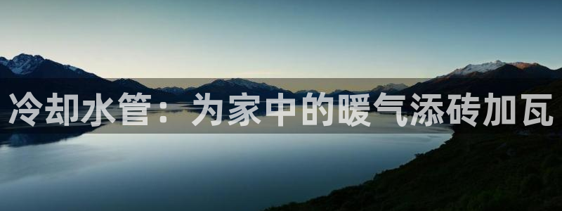 球盟会官方登录平台
