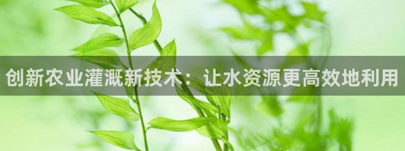 球盟会在线登录