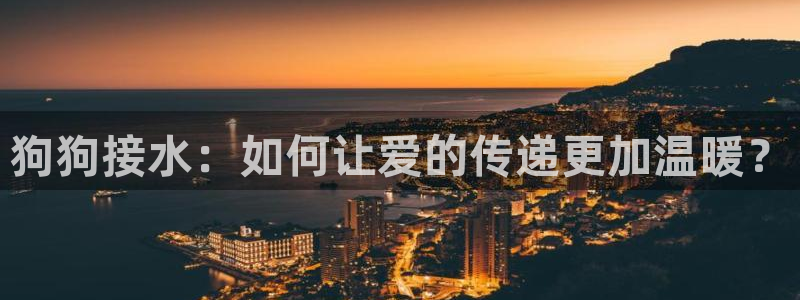 球盟会登录网址