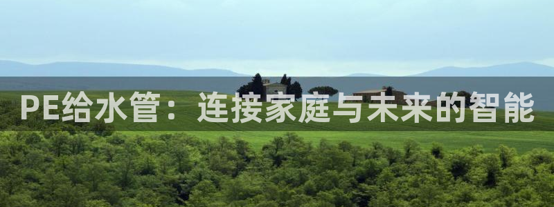 球盟会里面有打牌的嘛