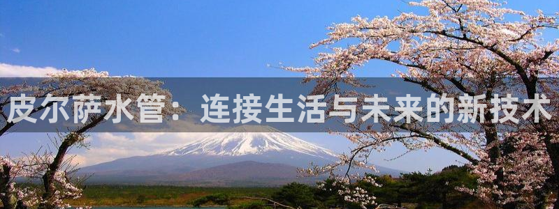 球盟会网址多少