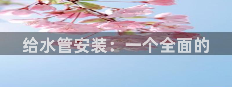 球盟会登录网址