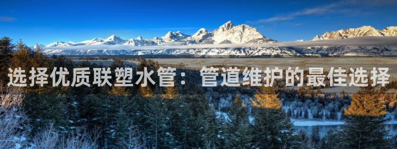 球盟会综合app下载