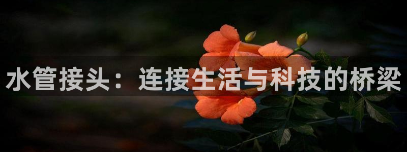 球盟会app最新地址在哪里