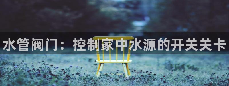 球盟会官方网入口