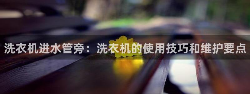 球盟会官方版下载地址