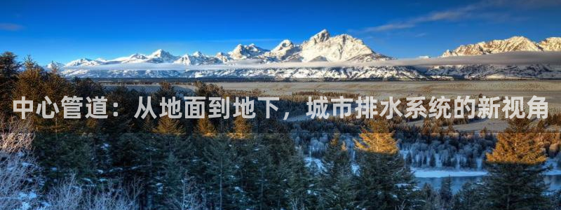 球盟会APP最新地址