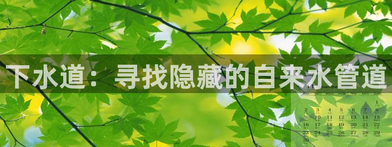 球盟会qmh登录地址