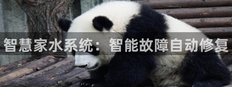 球盟会官网入口