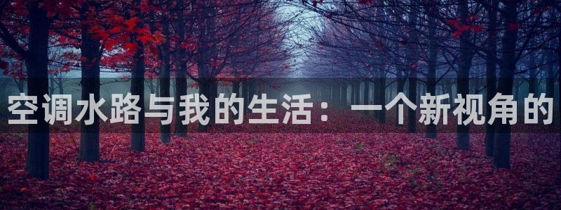 球盟会官方网页登录