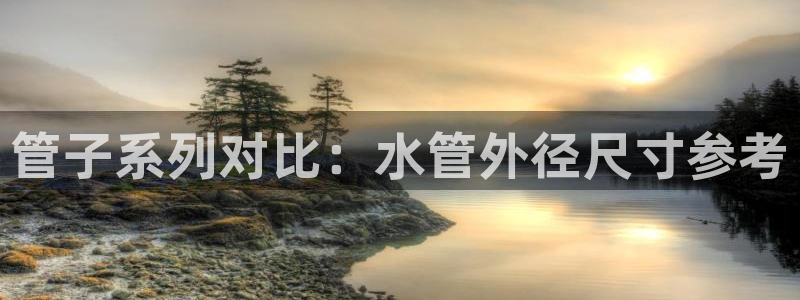 球盟会APP最新地址