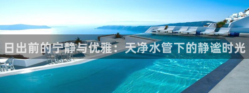 球盟会头号玩家