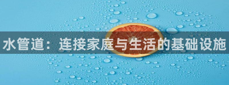 球盟会app最新地址下载安装