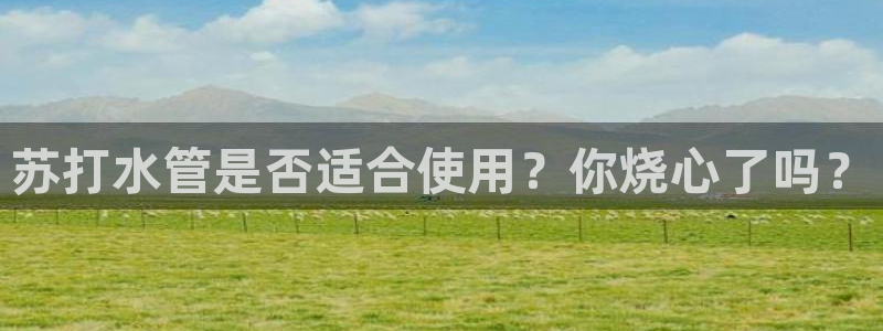 球盟会网址qm9 - 球盟会qmh网页版登录