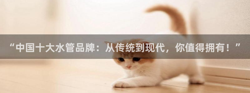 球盟会游戏几点玩合适