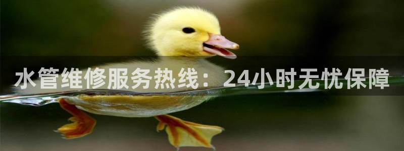 球盟会手机网页版