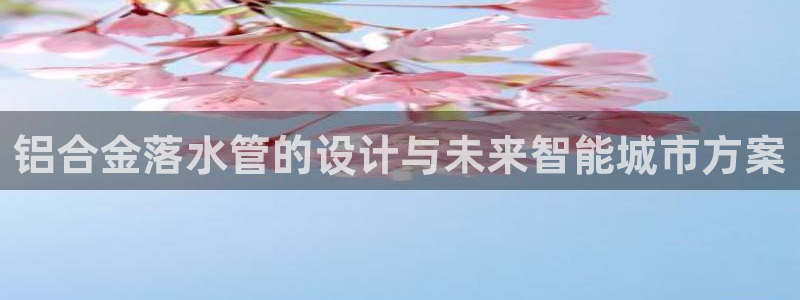 球盟会官方网站入口
