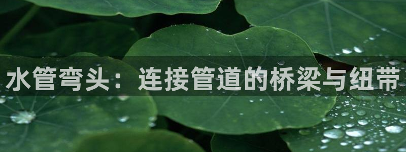 球盟会平台怎么样