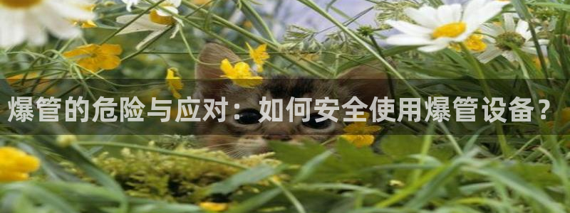 球盟会提款支付宝怎么样