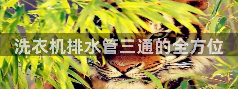 球盟会app最新地址在哪找