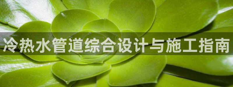 球盟会登陆中心