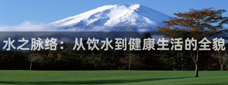 球盟会中国网页登录