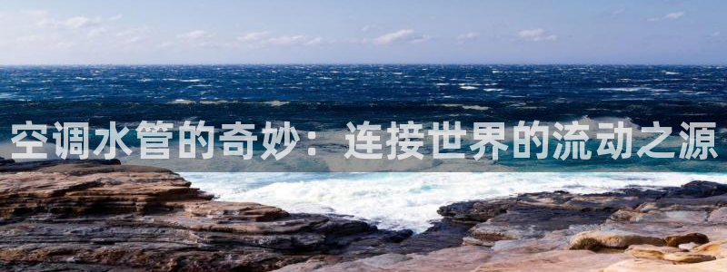 球盟会app最新地址在哪里